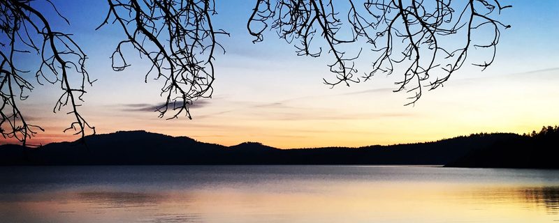 Sunset sky fading from orange to pink above a dark ridge of evergreens and calm water on Orcas Island.