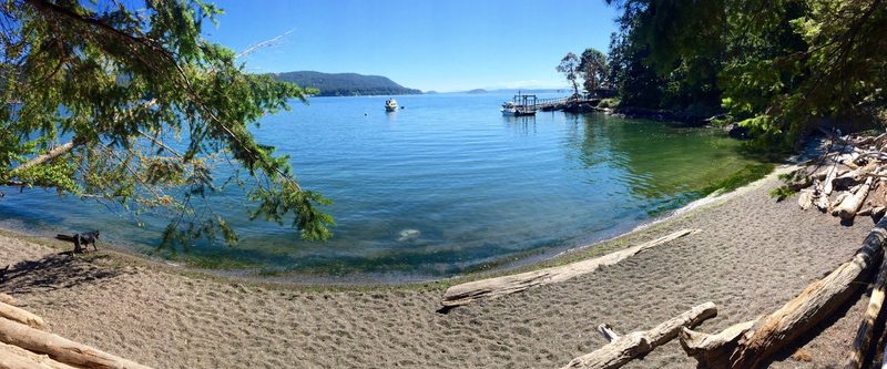 A dog on a driftwood beach at Obstruction Pass, with a small dock and calm water beyond.