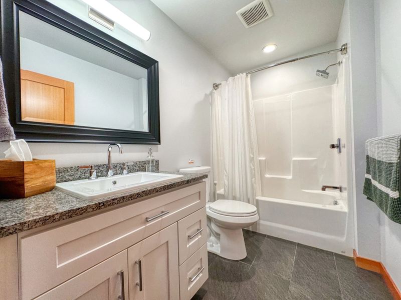 Lower-level bathroom